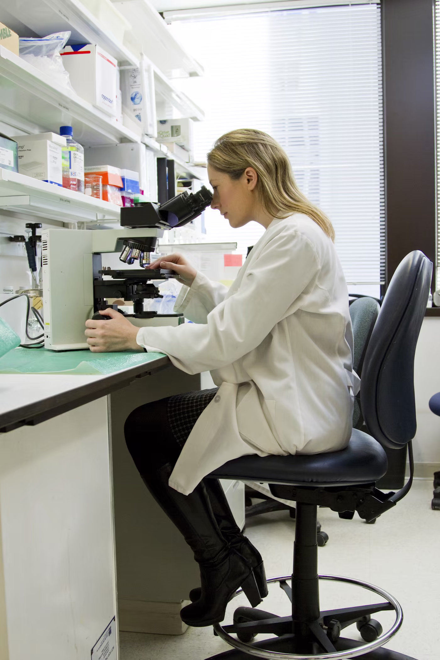 Food microbiology and fermentation