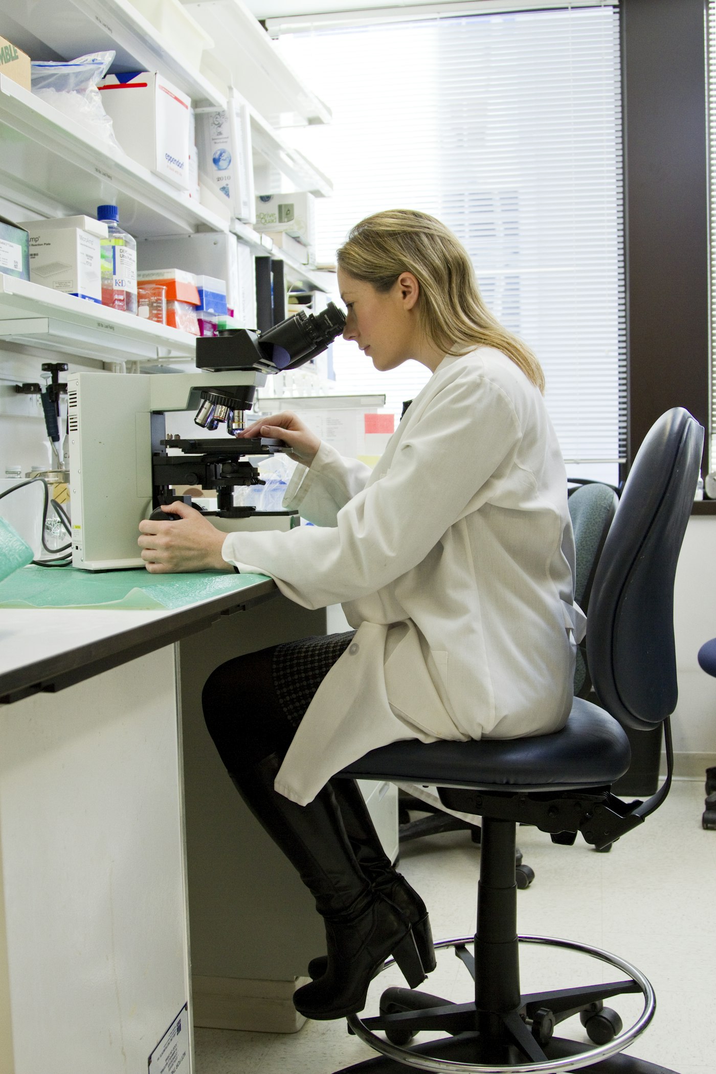 Food microbiology and fermentation